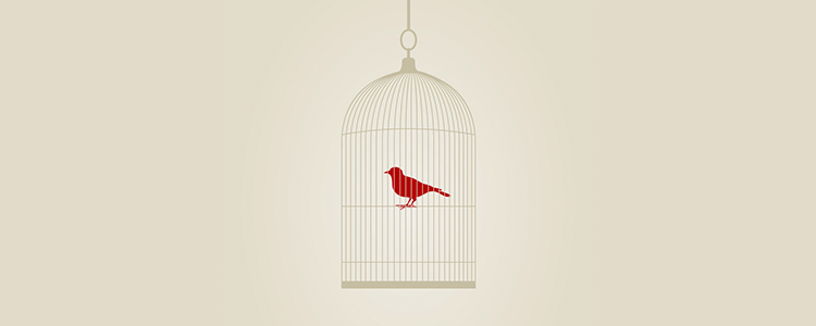 免费电话短信轰炸机